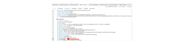 Safari Web Inspector showing the Vary: Origin response header on a cross-domain asset request.