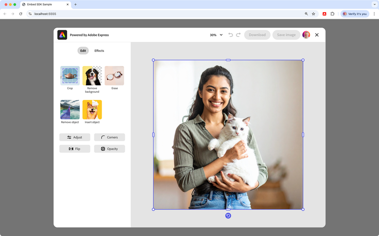 Embed SDK Edit Image experience